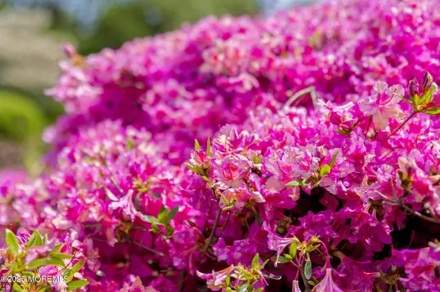 $12,500 | 13 Driftwood Lane, Colts Neck, NJ 07722