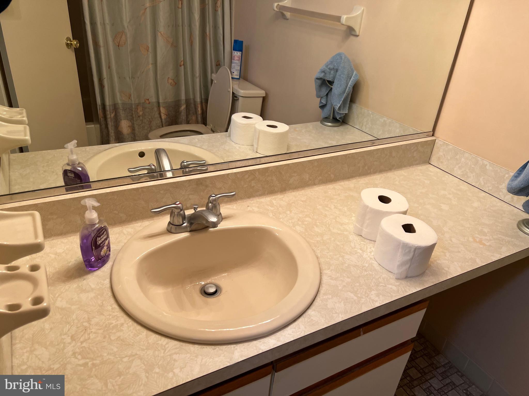 2131 Welsh Road, Unit 203 Philadelphia, PA 19115 - Photo 20 of 37 main bathroom