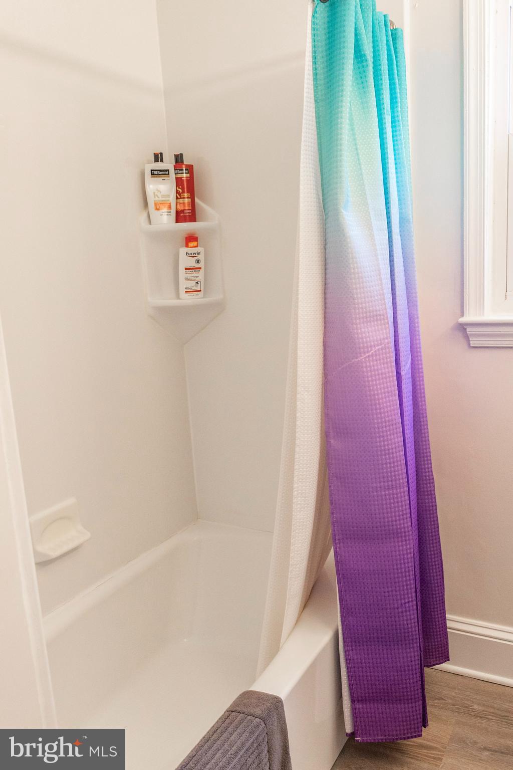 219 Randolph Road Silver Spring, MD 20904 - Photo 26 of 43 Hall bathroom