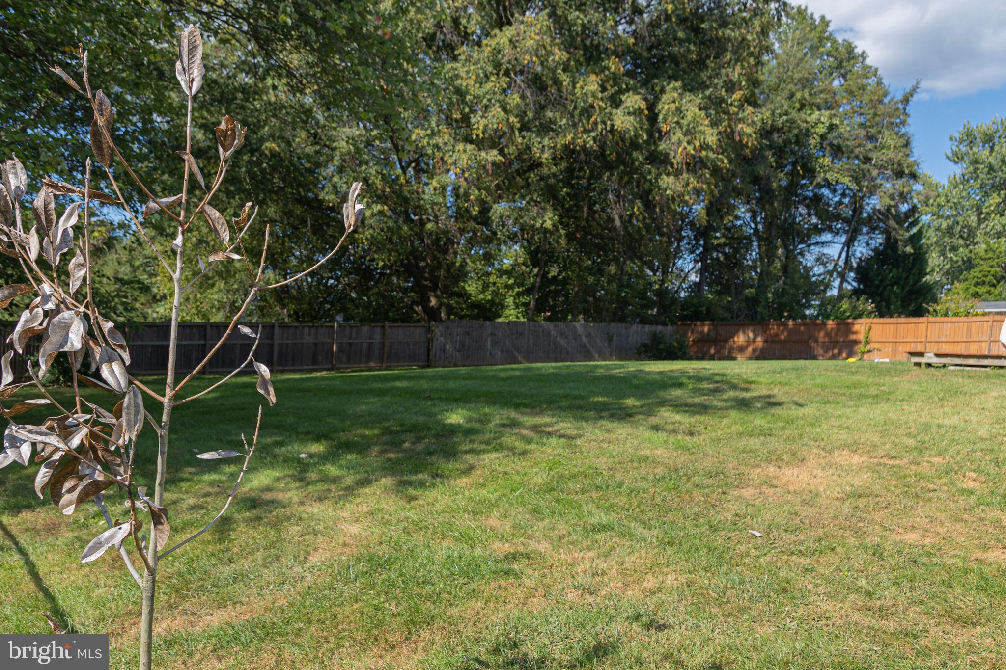 219 Randolph Road Silver Spring, MD 20904 - Photo 33 of 43 Backyard