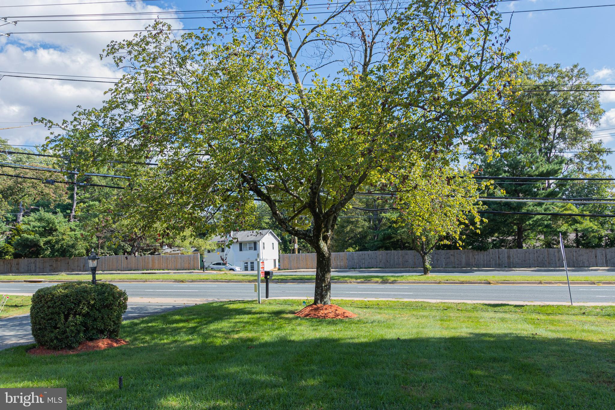219 Randolph Road Silver Spring, MD 20904 - Photo 35 of 43 Street view