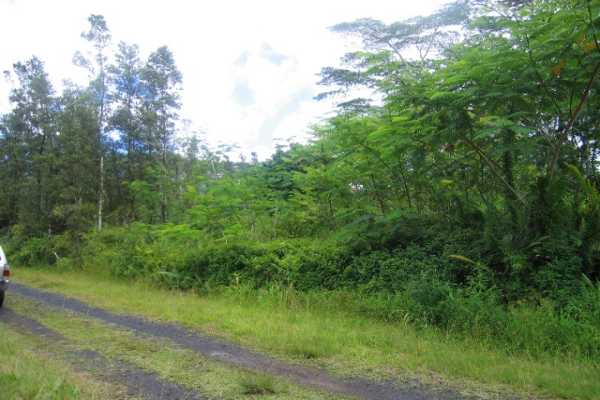 676 Holiday Road Pahoa, HI 96778 - Photo 1 of 1 Gallery Image 1