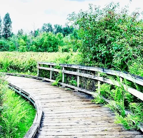 swimming pool view with a garden space