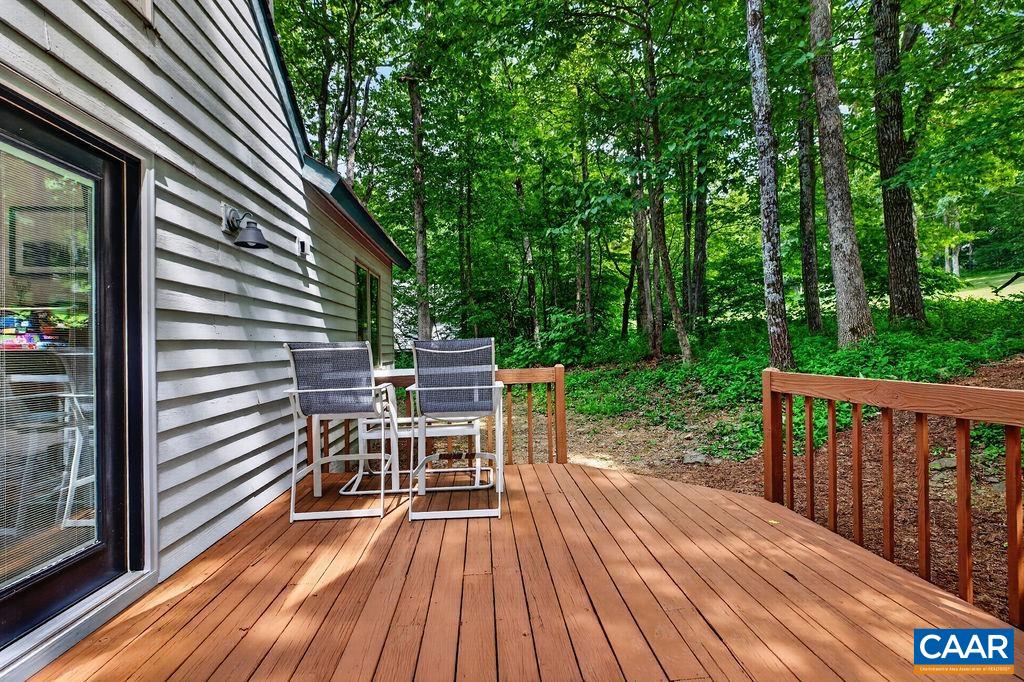 20 Blue Ridge Court Roseland, VA 22967 - Photo 25 of 56