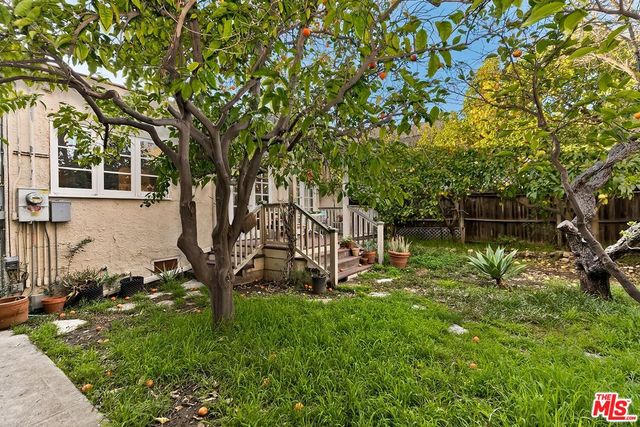 a view of backyard with wooden fence and a large tree