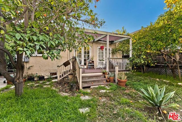 a view of a park with large trees