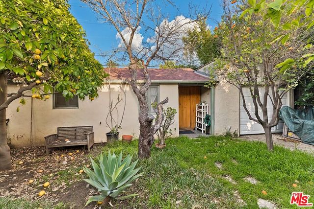 a view of a backyard with a large tree