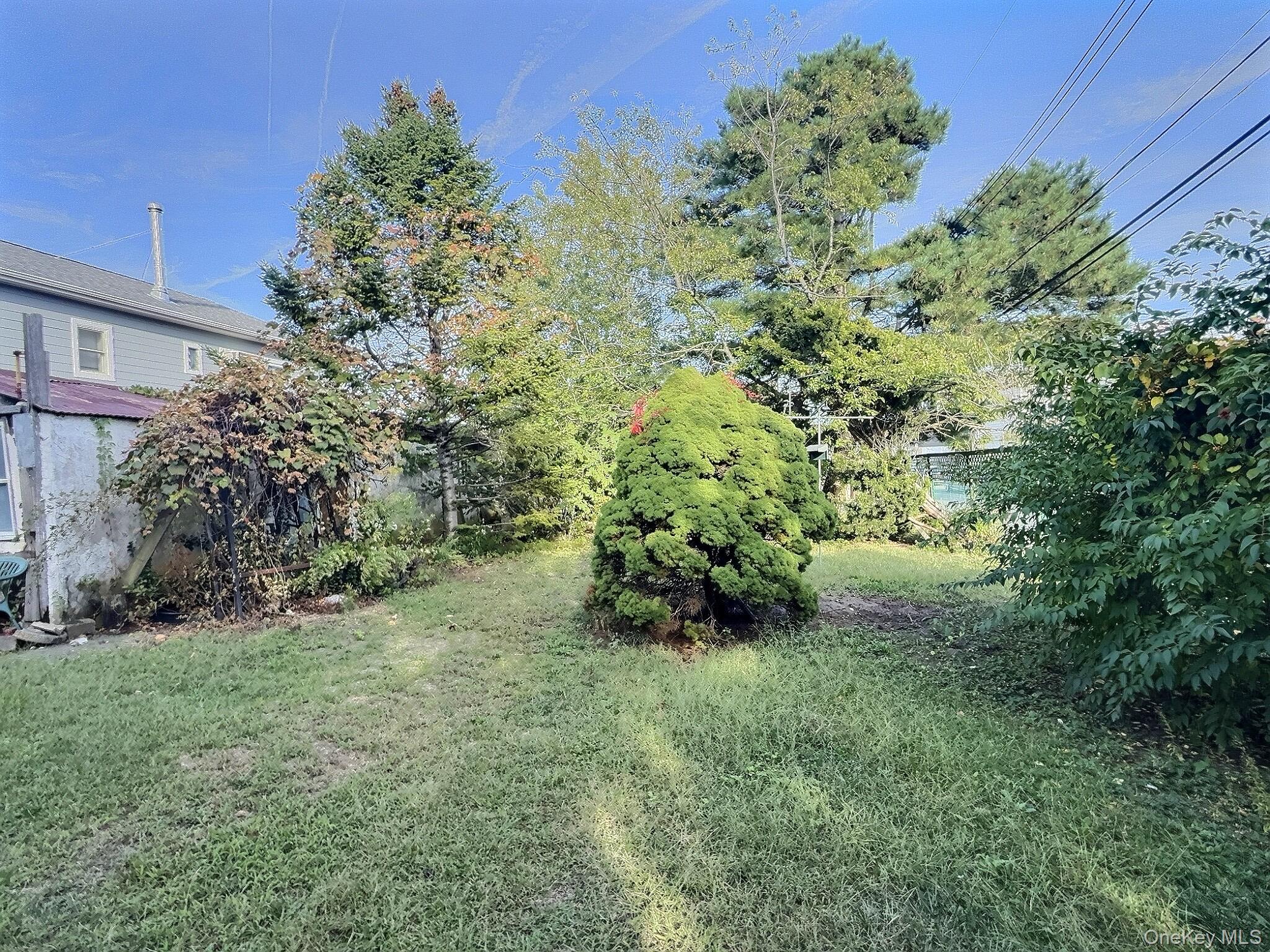 815 Walton Road Queens, NY 11693 - Photo 6 of 7 View of grassy yard