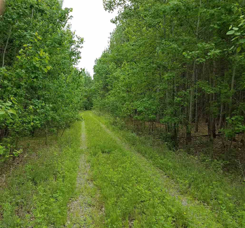 0 County Rd G, Unit PARCEL #3 Nekoosa, WI 54457 - Photo 1 of 1