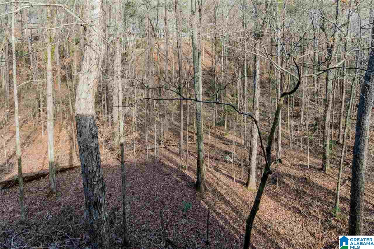744 Dividing Ridge Drive Birmingham, AL 35244 - Photo 46 of 50