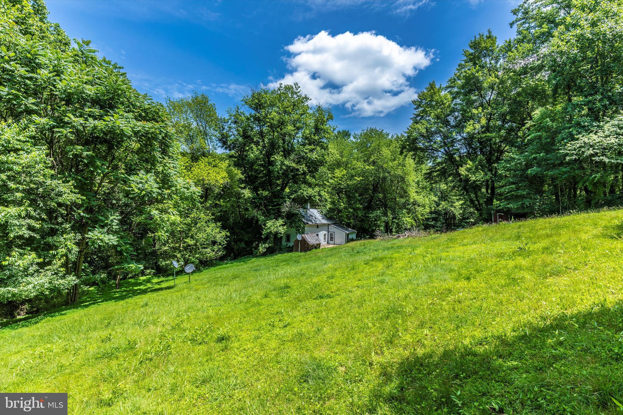 6300 Old Bohn Road Mount Airy, MD 21771 - Photo 40 of 45 a view of a big yard with large trees