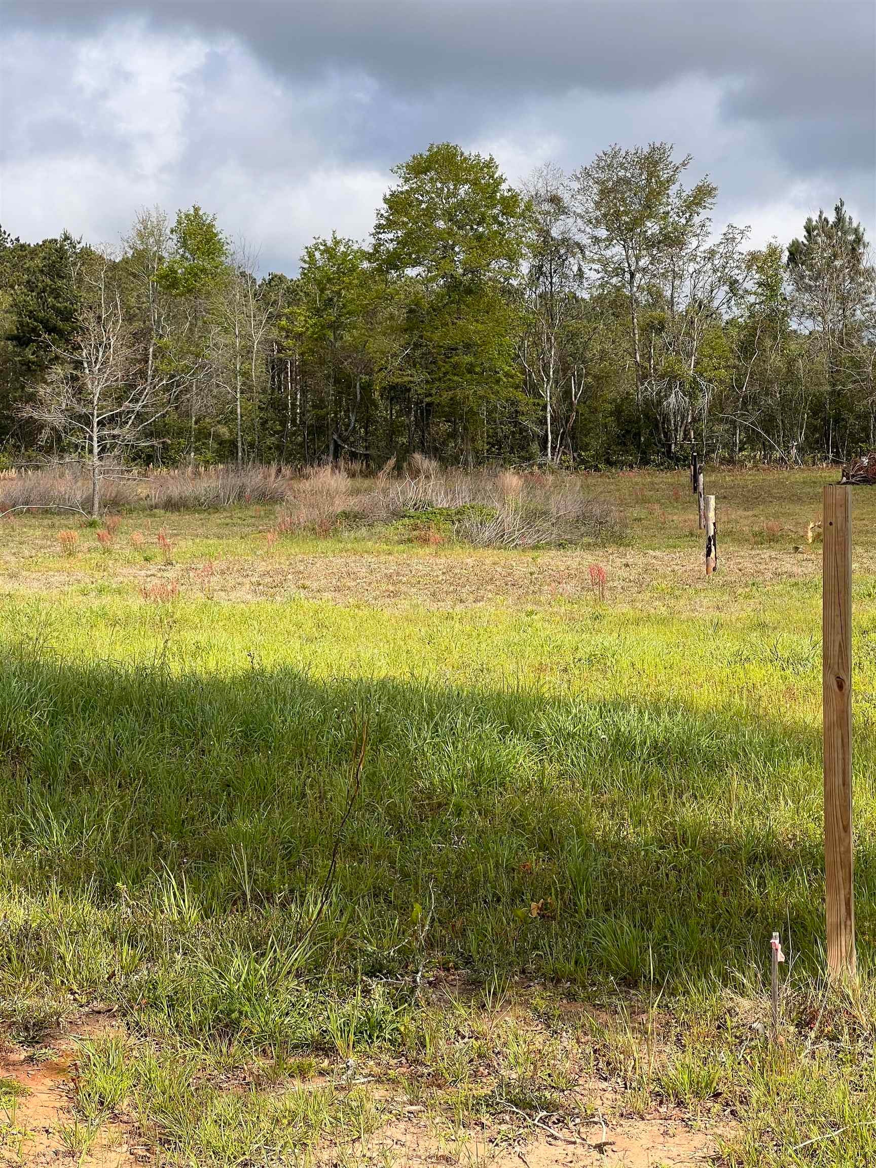 37791 Straughn School Road Dozier, AL 36028 - Photo 11 of 18 Gallery Image 11