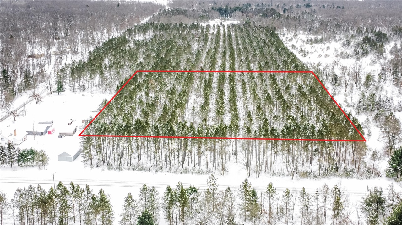 8 West 8 Mile Road Free Soil, MI 49411 - Photo 4 of 9