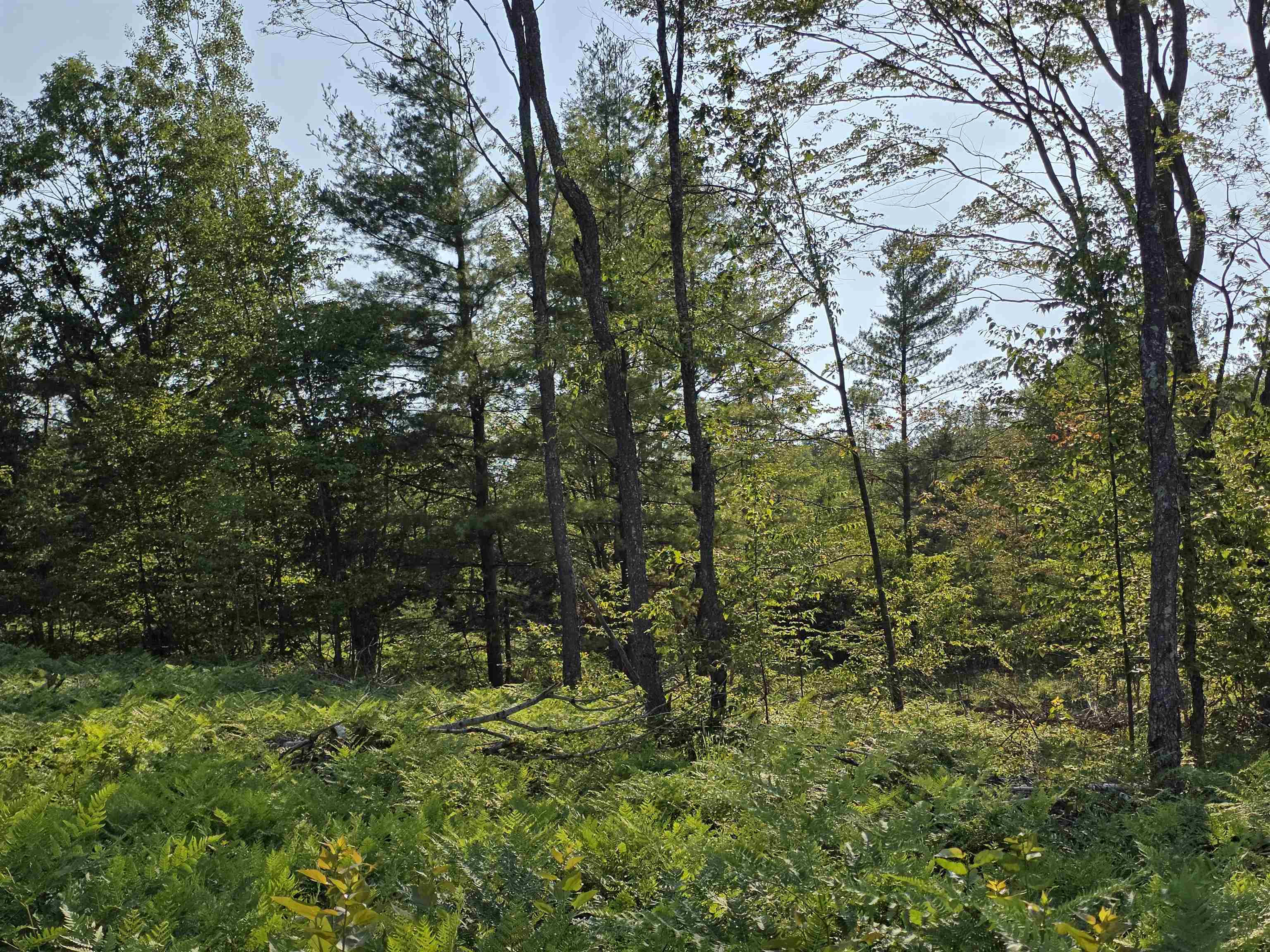 0 Arnold Road Manton, MI 49663 - Photo 33 of 63