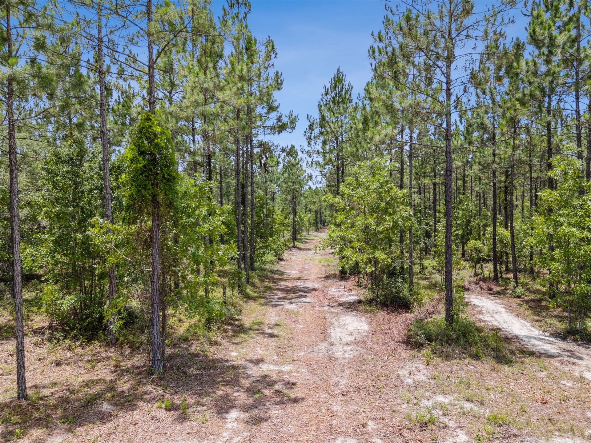 0 Leon Haddock Road Hilliard, FL 32046 - Photo 12 of 13