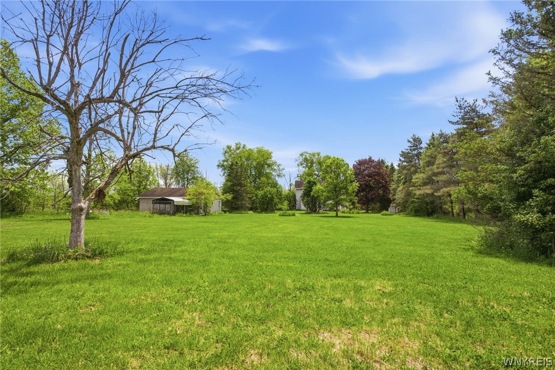 12318 Buckwheat Road Newstead, NY 14001 - Photo 41 of 49