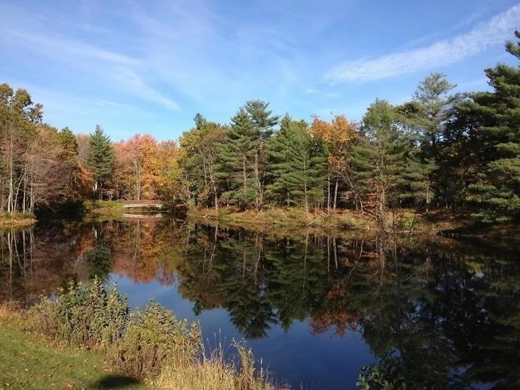 24 Spencer Road, Unit 14N Boxborough, MA 01719 - Photo 16 of 19 Gallery Image 16