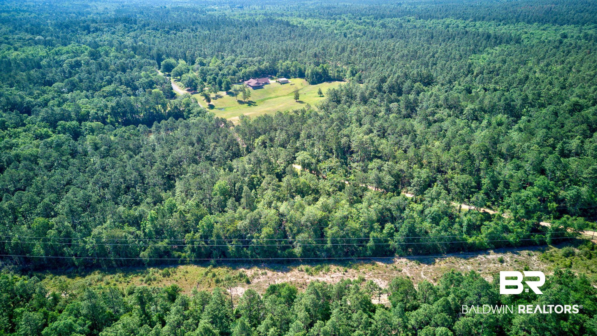 0 Evans Road Chunchula, AL 36521 - Photo 15 of 19