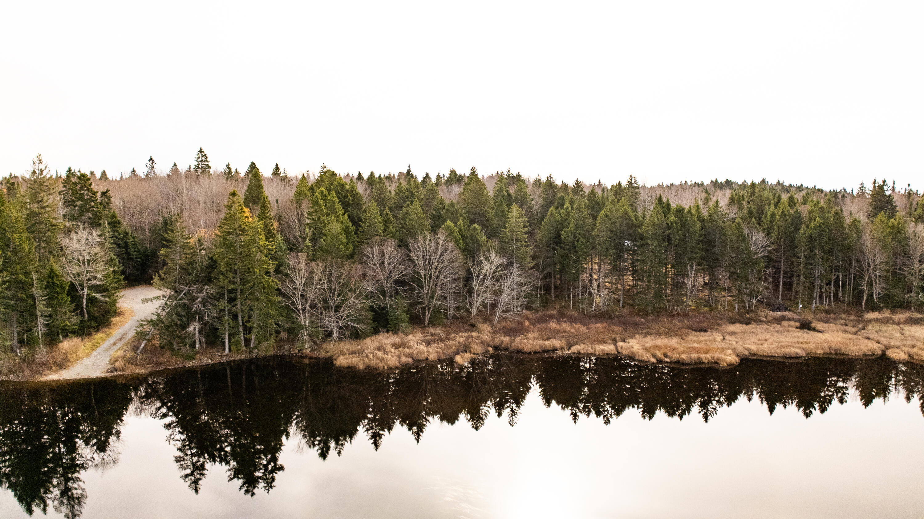 Lot 8 Sunset Way Whiting, ME 04691 - Photo 11 of 14 LOT 8 SUNSET-13