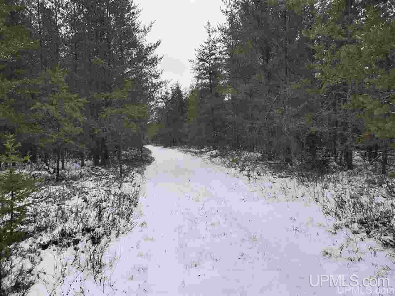 581 Rd Ishpeming Mi 49849 Road Ishpeming, MI 49849 - Photo 1 of 4