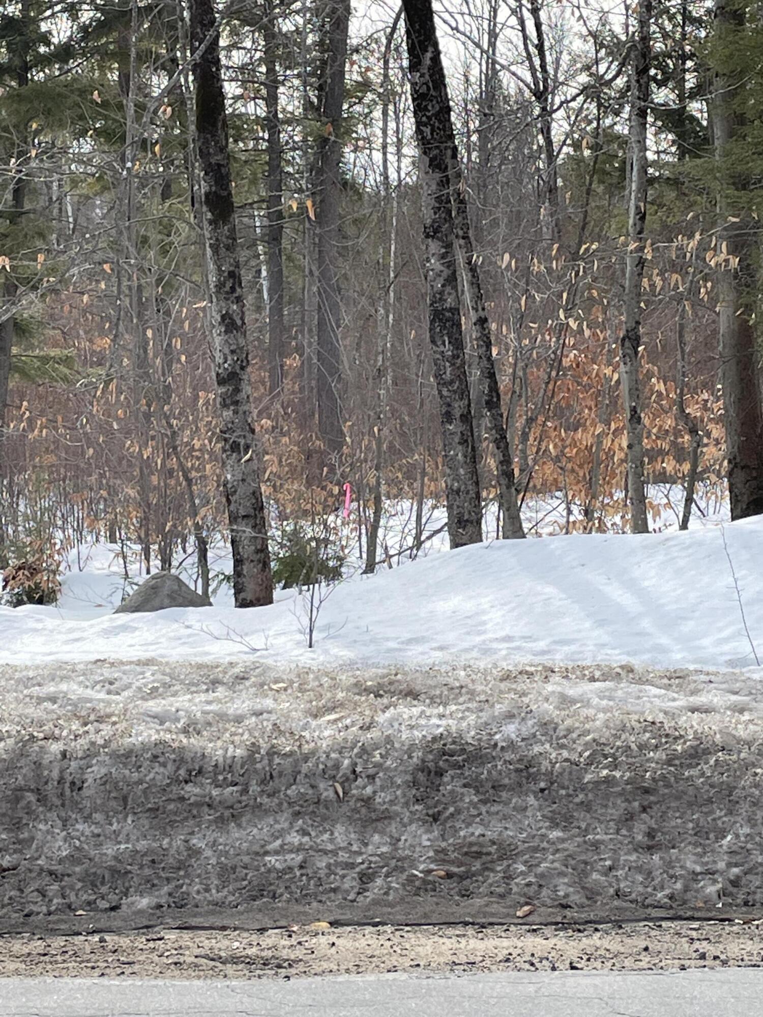 0 Long Hill Road Sebago, ME 04029 - Photo 2 of 5 6797BC97-8209-42B6-9535-C52BC187167C