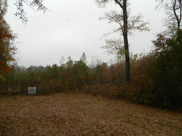 756 Hamilton Road Grovetown, GA 30813 - Photo 2 of 8