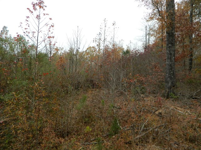 756 Hamilton Road Grovetown, GA 30813 - Photo 3 of 8