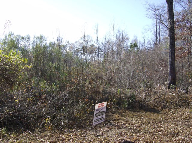 756 Hamilton Road Grovetown, GA 30813 - Photo 8 of 8