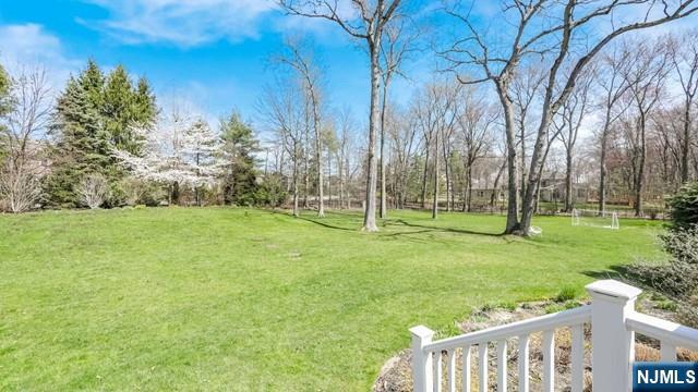 202 Chestnut Ridge Road Saddle River, NJ 07458 - Photo 48 of 50
