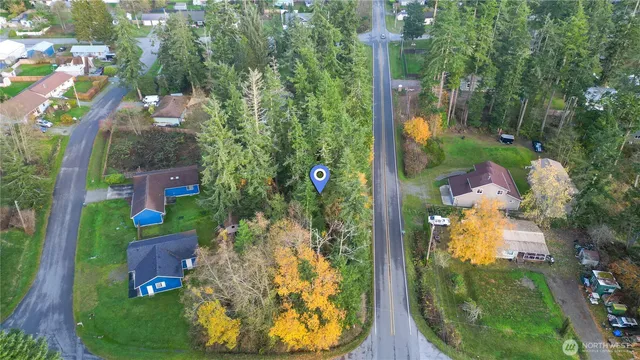 an aerial view of a house with a yard and large trees