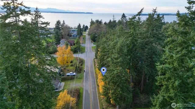 a view of a lake in middle of the forest