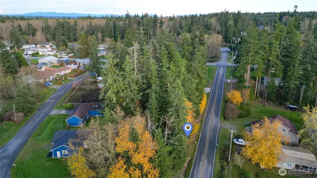 a view of a yard from a window