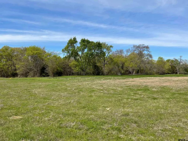 a view of a field with an ocean