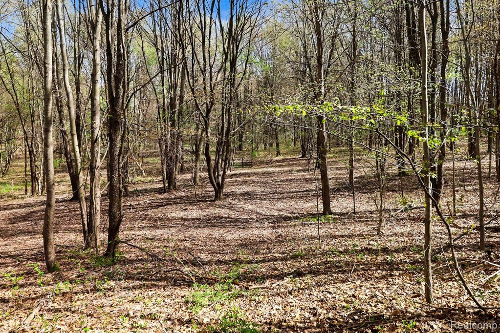 8815 Milford Road Holly, MI 48442 - Photo 28 of 52