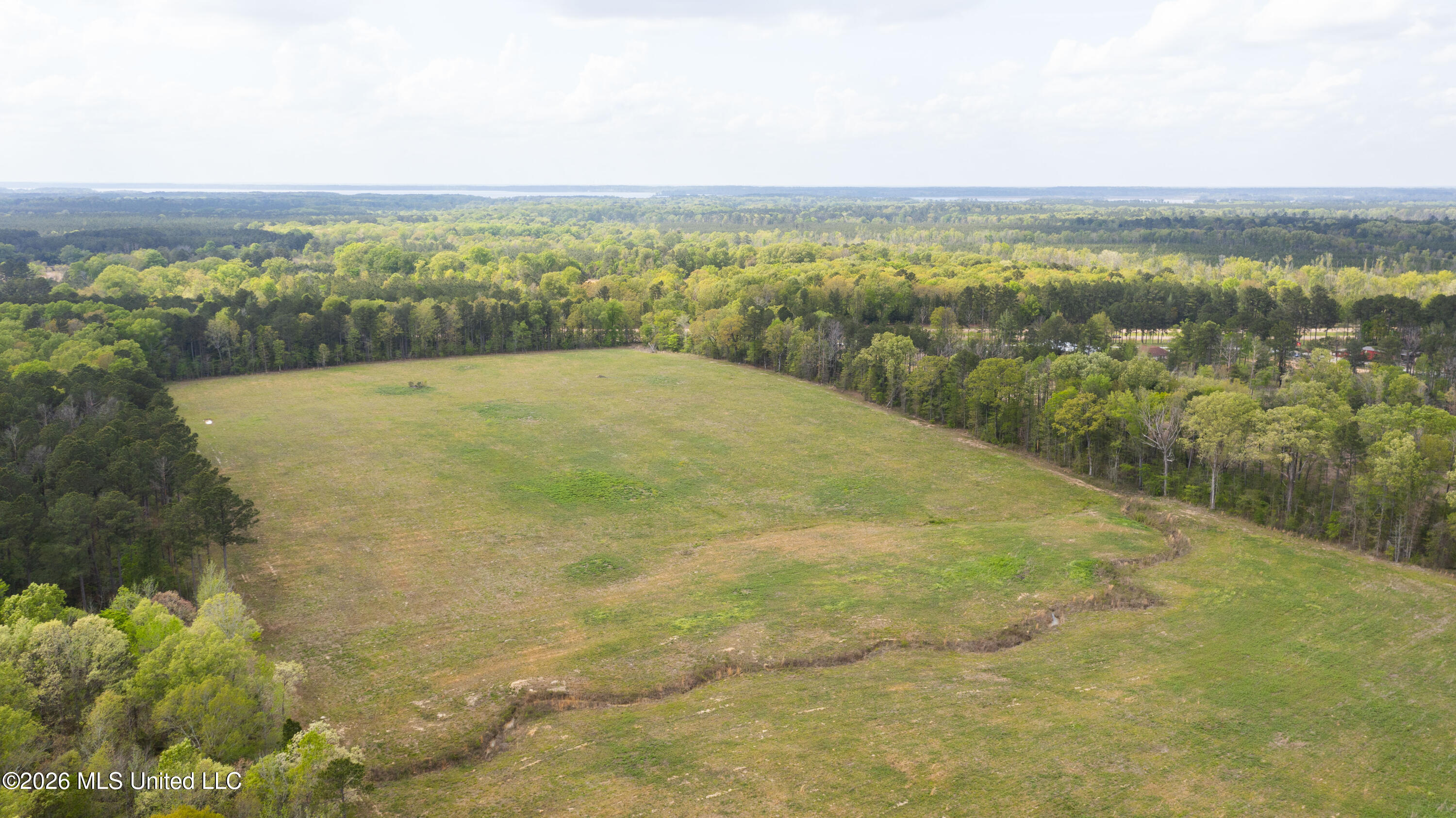 Pisgah Road Brandon, MS 39047 - Photo 11 of 14 Pisgah 38 Acres-8