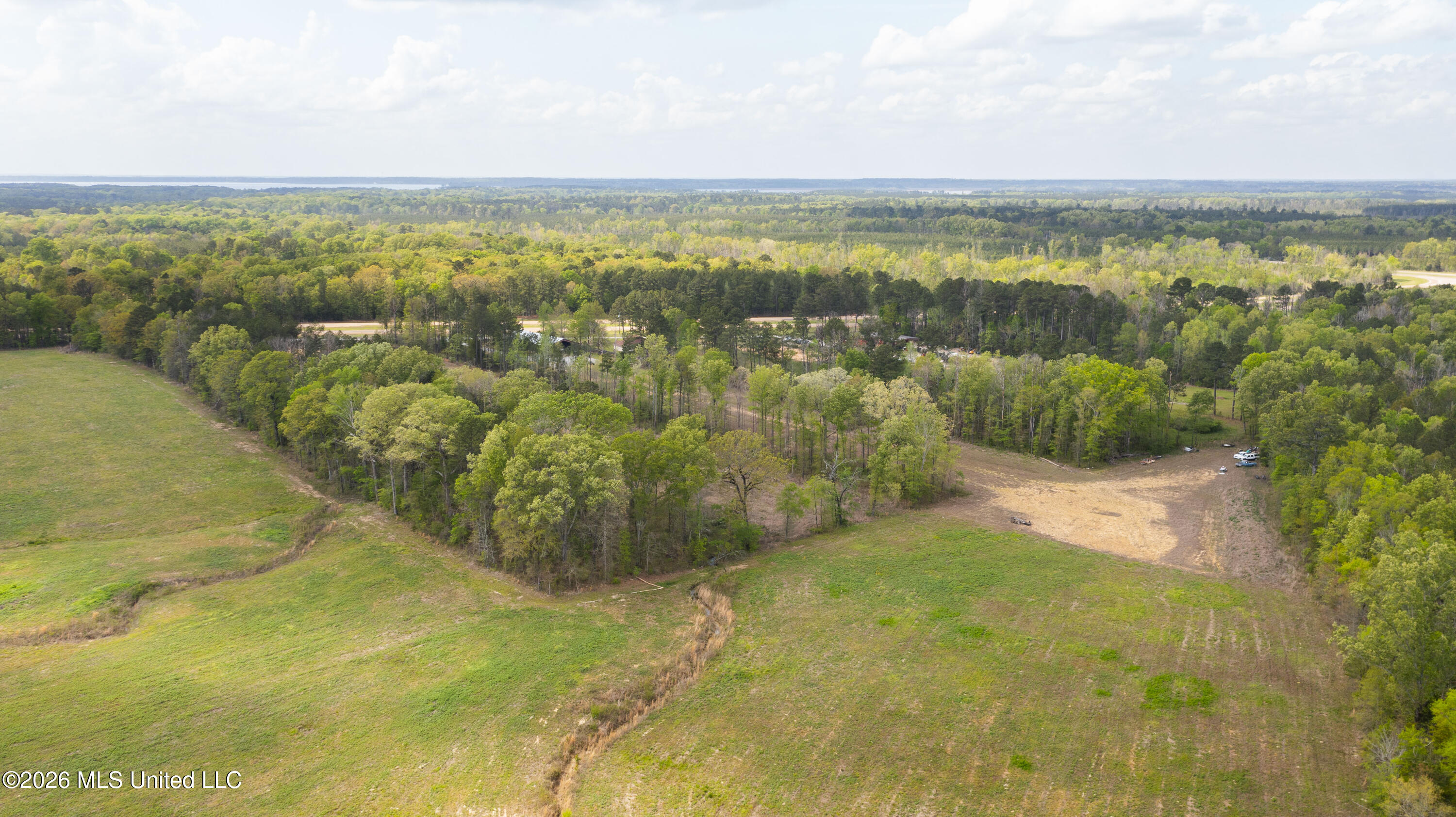 Pisgah Road Brandon, MS 39047 - Photo 13 of 14 Pisgah 38 Acres-10