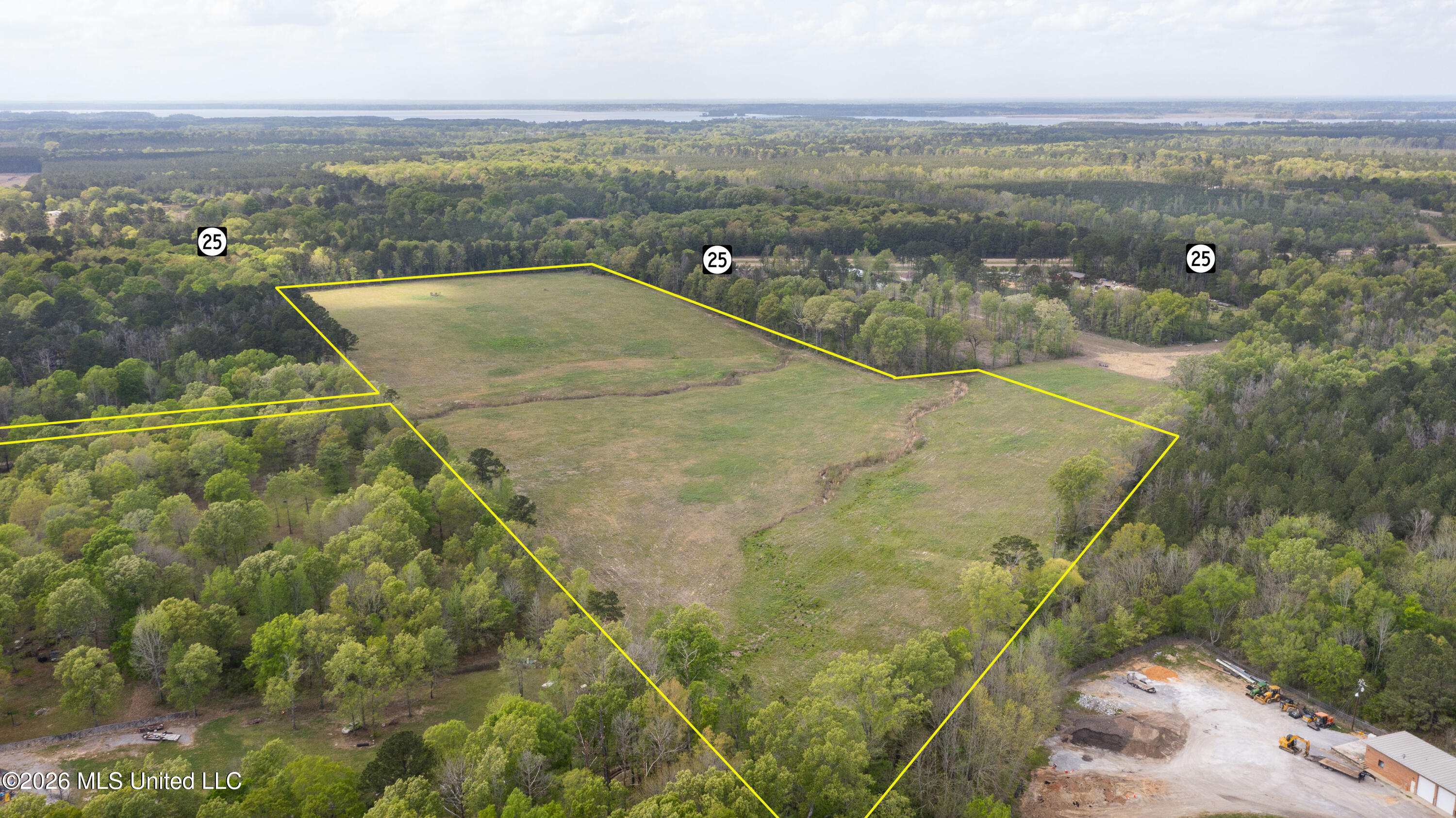 Pisgah Road Brandon, MS 39047 - Photo 4 of 14 Pisgah 38 Acres-2a