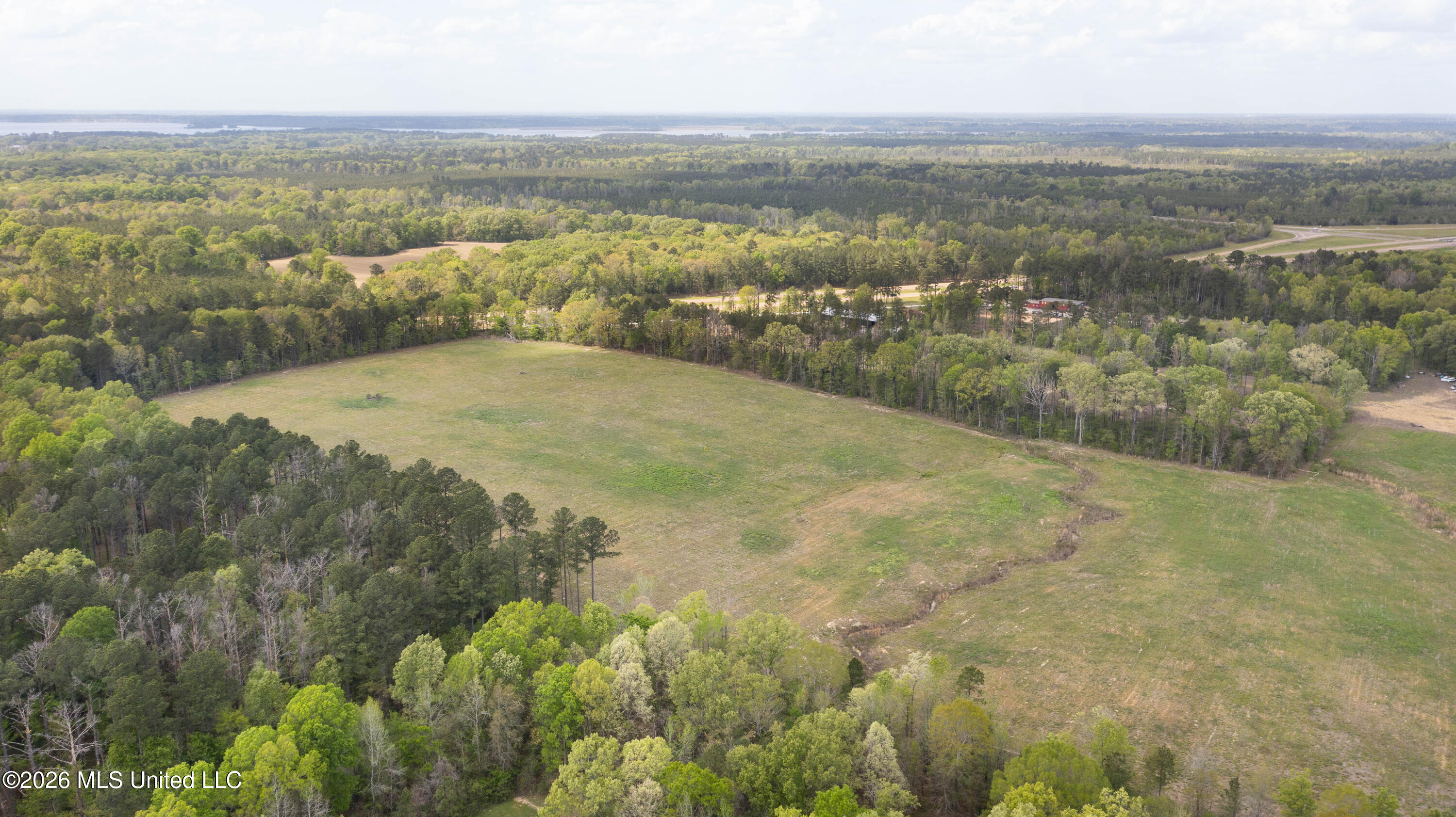 Pisgah Road Brandon, MS 39047 - Photo 9 of 14 Pisgah 38 Acres-6
