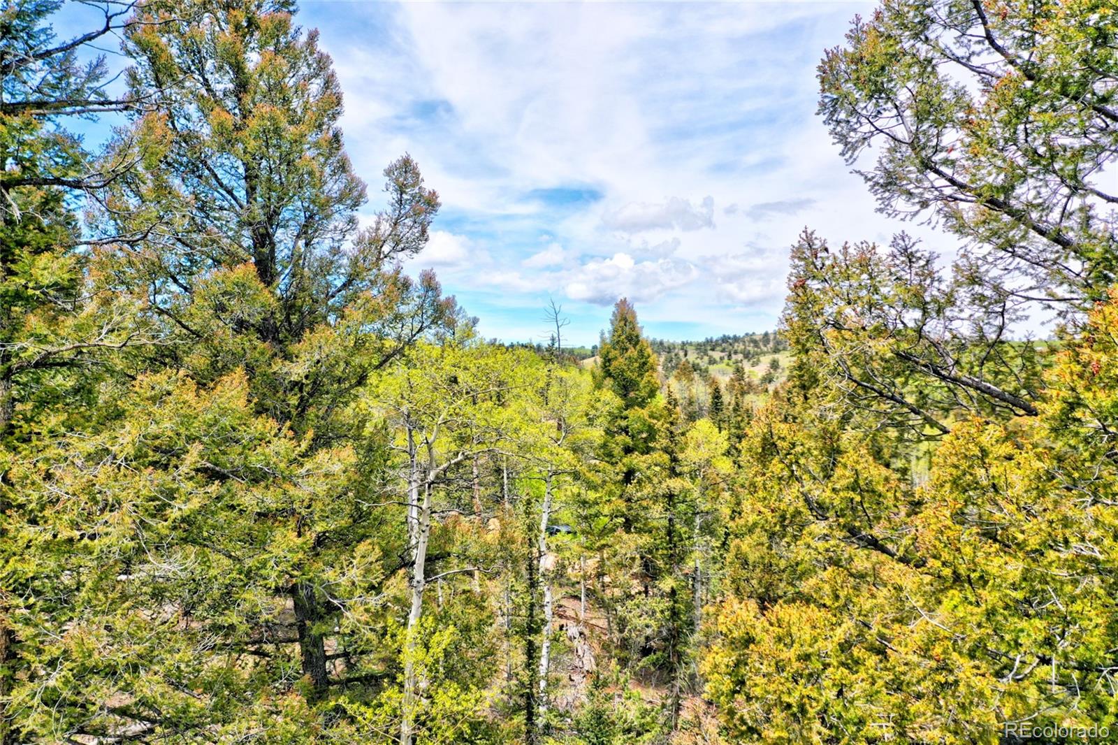 28 Old Squaw Road Como, CO 80432 - Photo 12 of 16