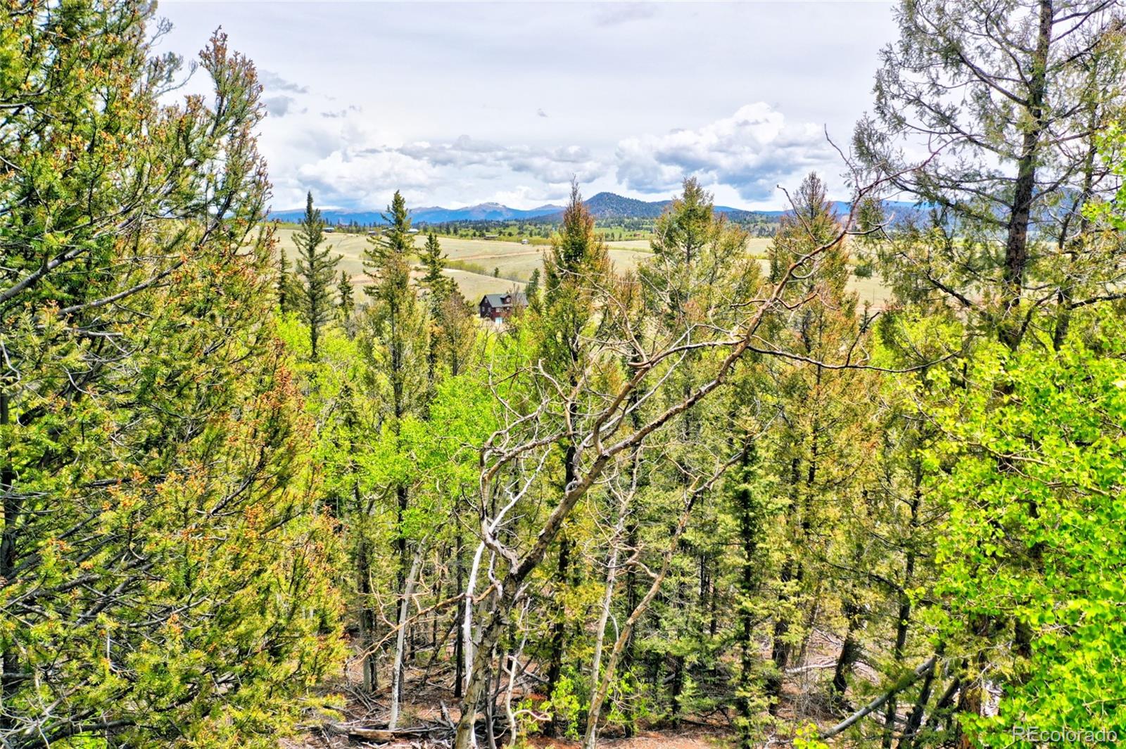 28 Old Squaw Road Como, CO 80432 - Photo 15 of 16 a view of a city
