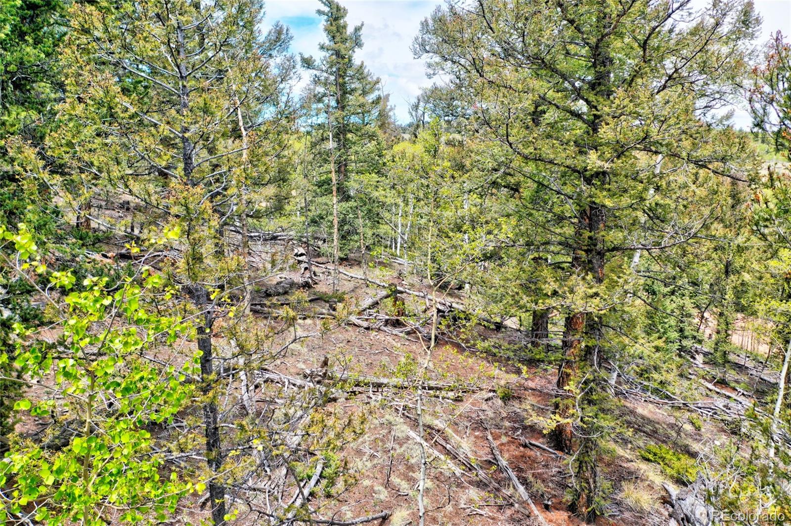28 Old Squaw Road Como, CO 80432 - Photo 16 of 16 a view of a tree