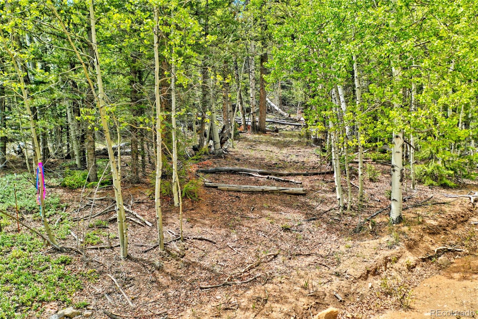 28 Old Squaw Road Como, CO 80432 - Photo 3 of 16 a view of under construction area