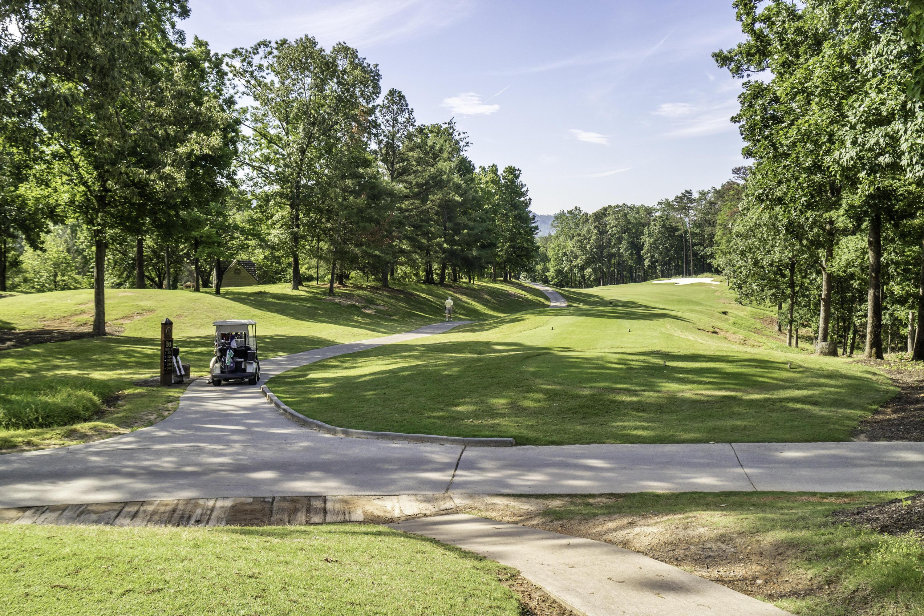902 Cattails Drive Ooltewah, TN 37363 - Photo 73 of 90 Windstone_0010