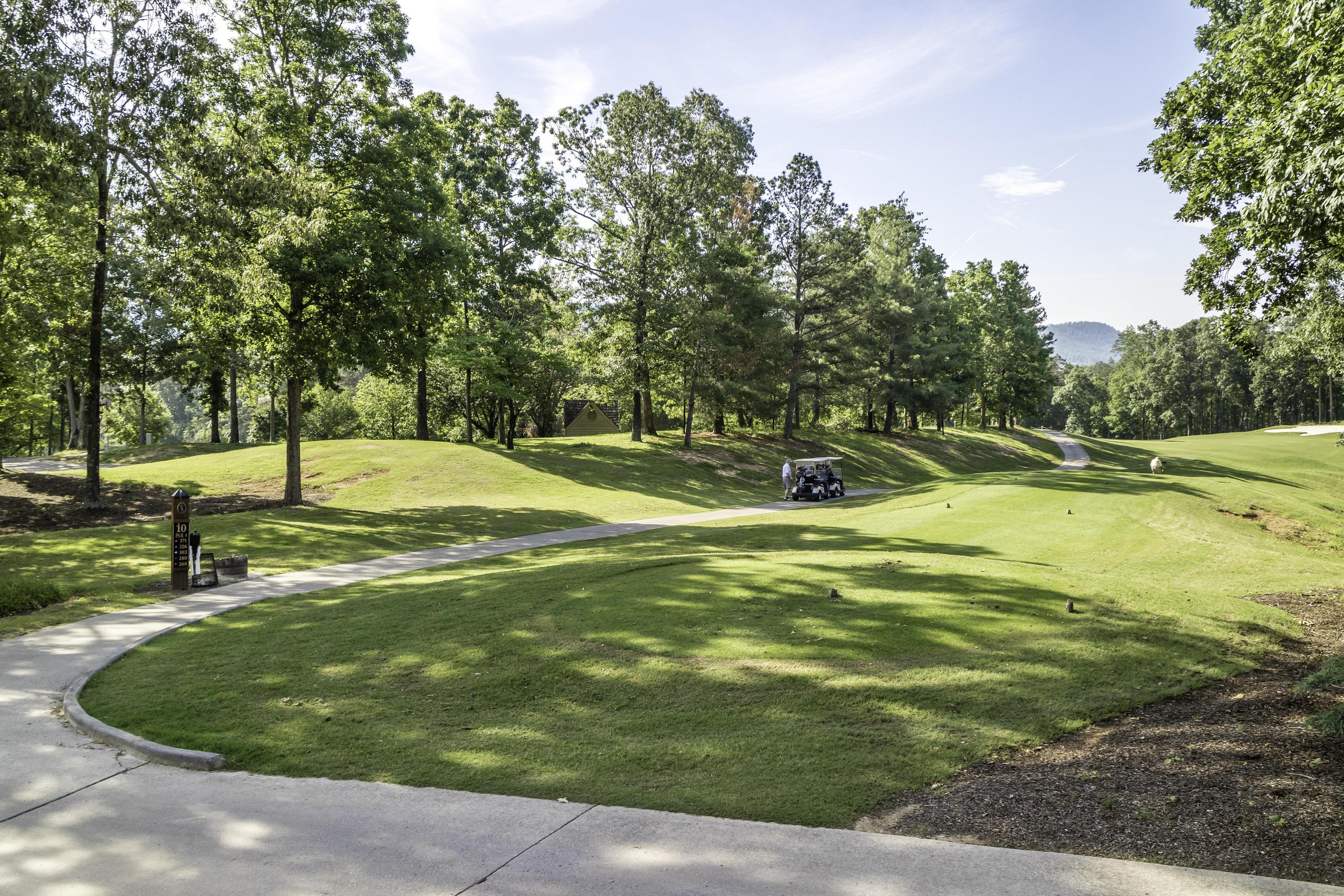 902 Cattails Drive Ooltewah, TN 37363 - Photo 74 of 90 Windstone_0011 - Copy