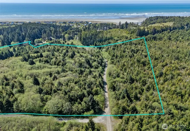 a view of a city with lush green forest