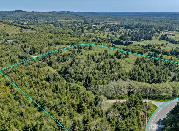 a view of a green field with lots of bushes