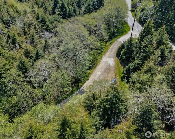 a view of a forest with a building