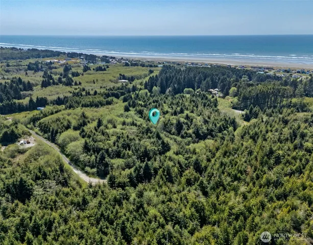 an aerial view of a residential houses covered in trees