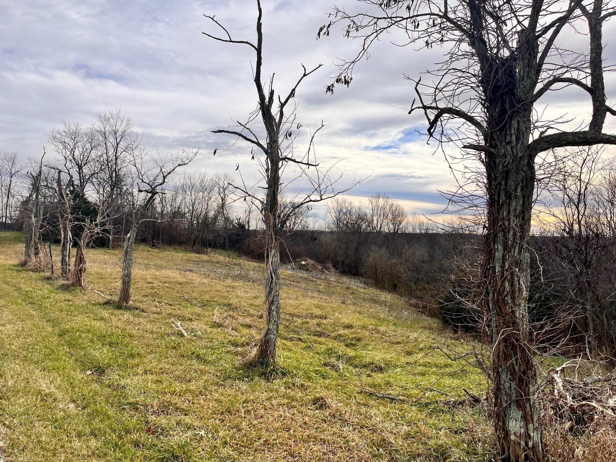 3250 Chipman Ridge Road Williamstown, KY 41097 - Photo 8 of 16 Gallery Image 8