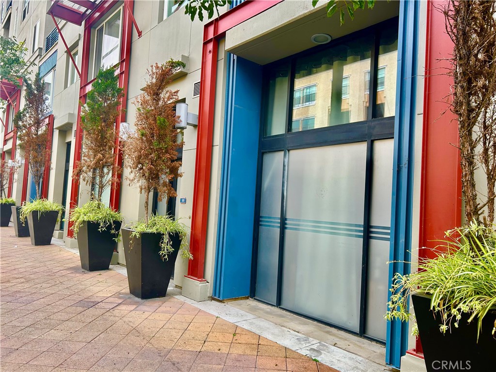 a view of a house with a potted plant and floor to ceiling window and potted plants